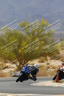 media/Apr-10-2022-SoCal Trackdays (Sun) [[f104b12566]]/Turn 5 Tree of Life (1040am)/